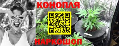 СК Магадан