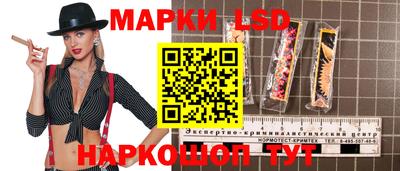 СК Магадан