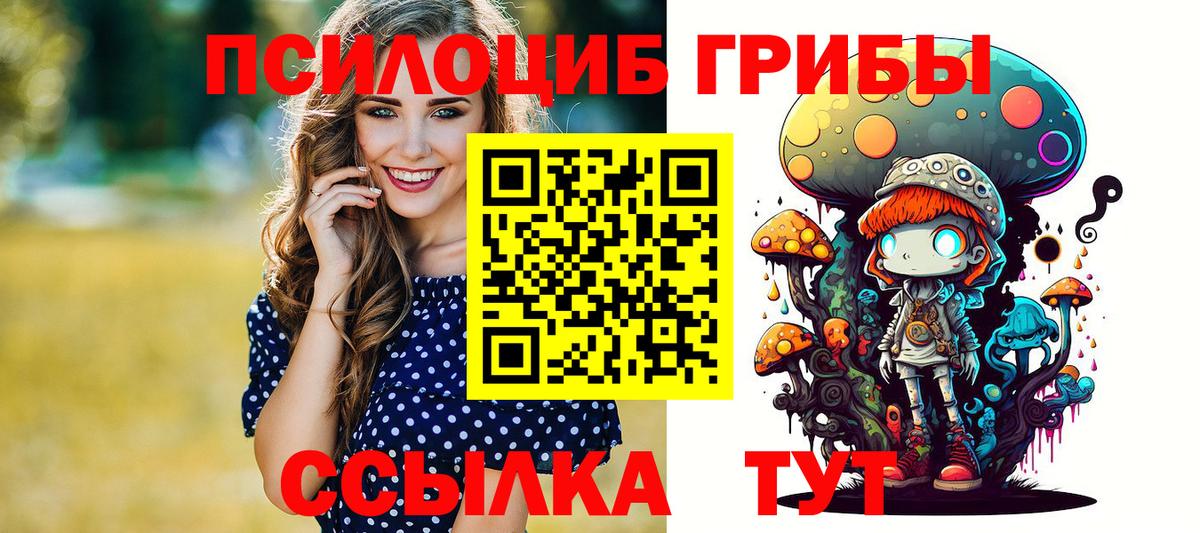 Галлюциногенные грибы Psilocybe  Галлюциногенные грибы прущие грибы  Вход с VPN  Коммунар 